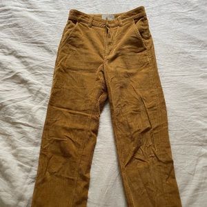 Everlane Straight Leg Courdoroy Pants